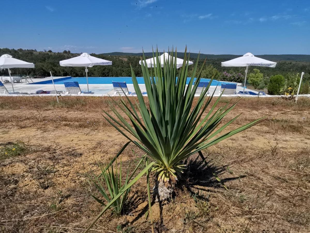 Villa Emine Banja Kültér fotó